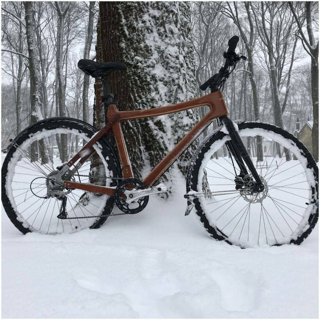 Wooden bike in winter?